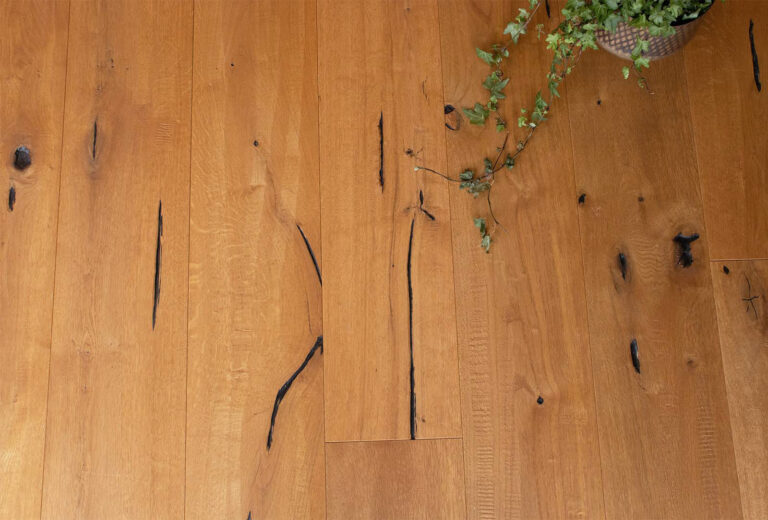 Berkeley Cathedral Oak By Woodpecker Flooring